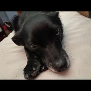 Meet your Posher, Emmanuel